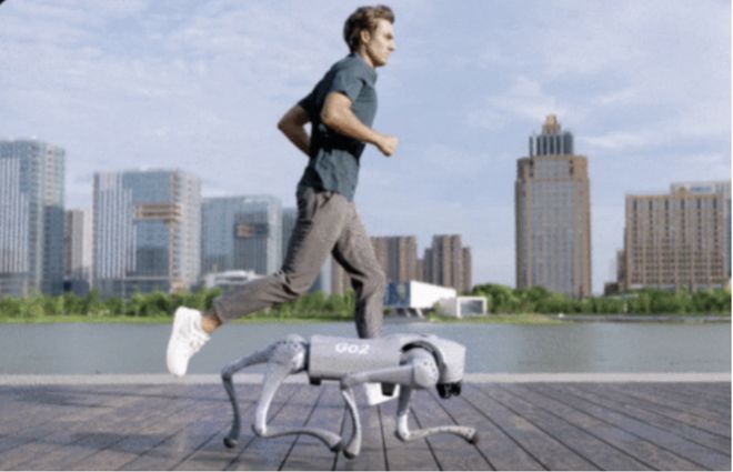 E IN to the Future 红杉爱科学AG真人百家家乐平台CES 2025回顾：DIV(图14)